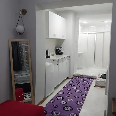 Artemis Apart&otel * Bursa