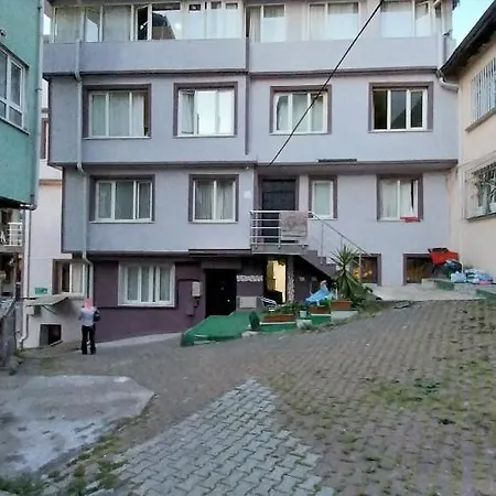 Artemis Apart&otel *