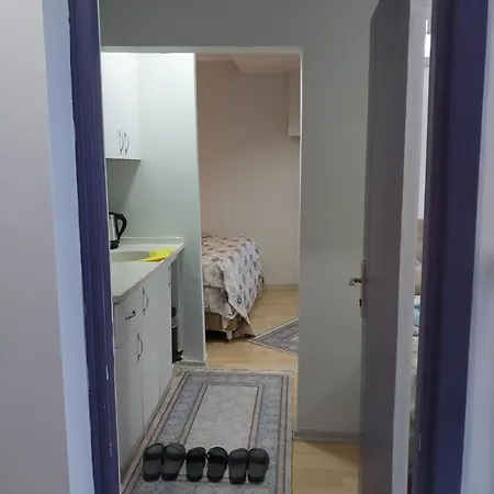 Artemis Apart&otel *