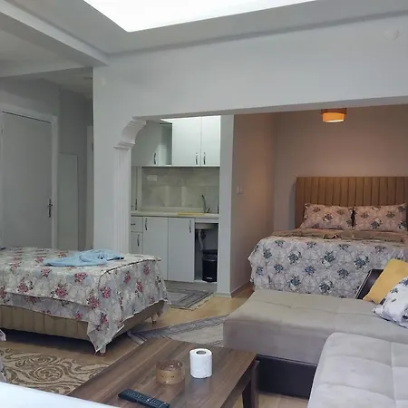 Artemis Apart&otel * Bursa