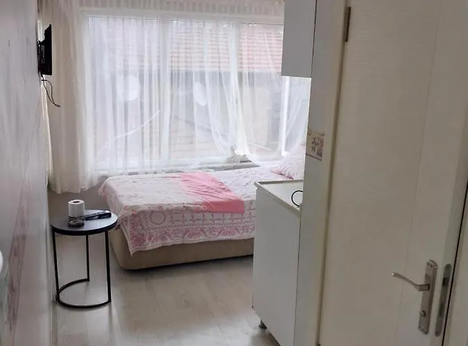 公寓 Artemis Apart&otel 伯萨