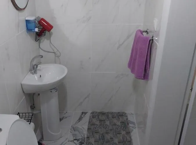 公寓 Artemis Apart&otel 伯萨