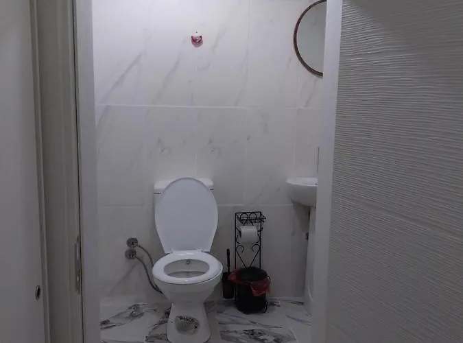 公寓 Artemis Apart&otel