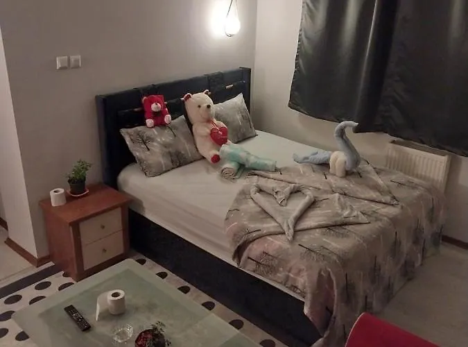 公寓 Artemis Apart&otel