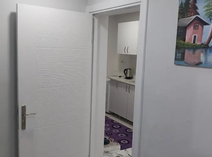 公寓 Artemis Apart&otel