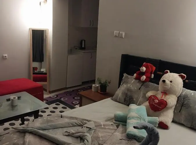 Artemis Apart&otel 公寓 *