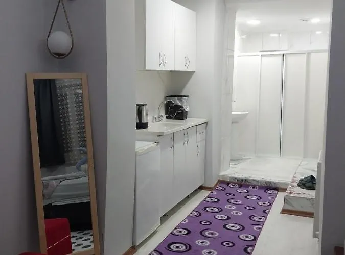 Artemis Apart&otel * 伯萨