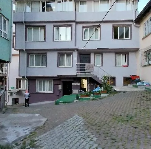 Artemis Apart&otel *