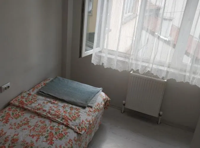 Artemis Apart&otel 公寓 伯萨