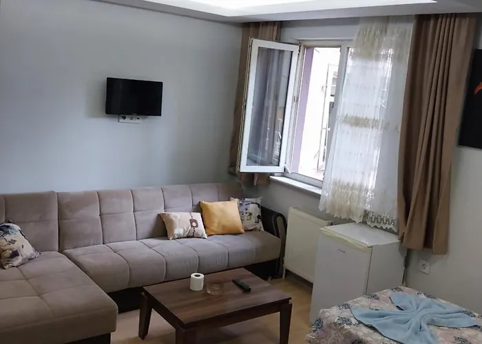 Artemis Apart&otel * 伯萨