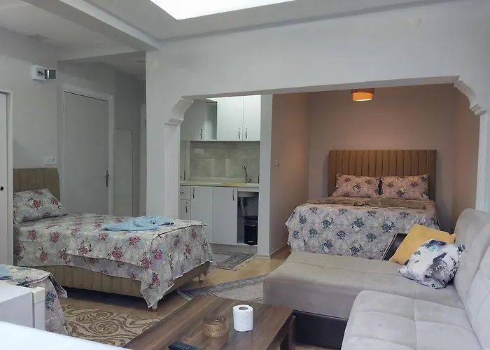 Artemis Apart&otel * 伯萨