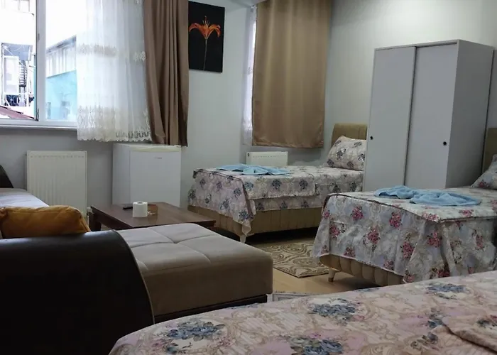 Artemis Apart&otel 伯萨